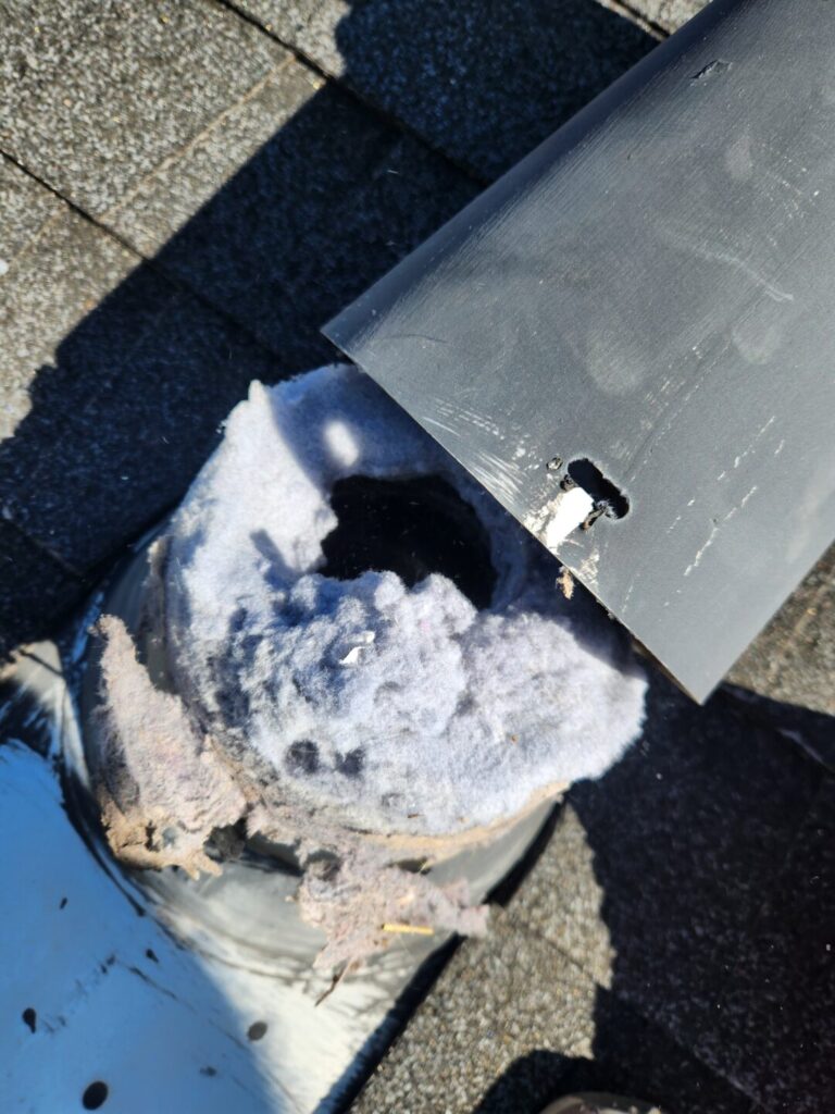 Large lint clog removed from a rooftop dryer vent duct at a Chico home