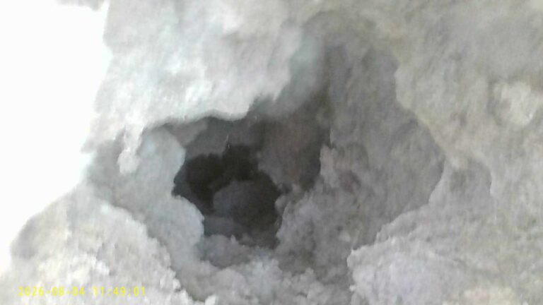 Customer dryer was throwing a error code. Top vent and ducting was clogged with built up lint. I cleaned it out for him