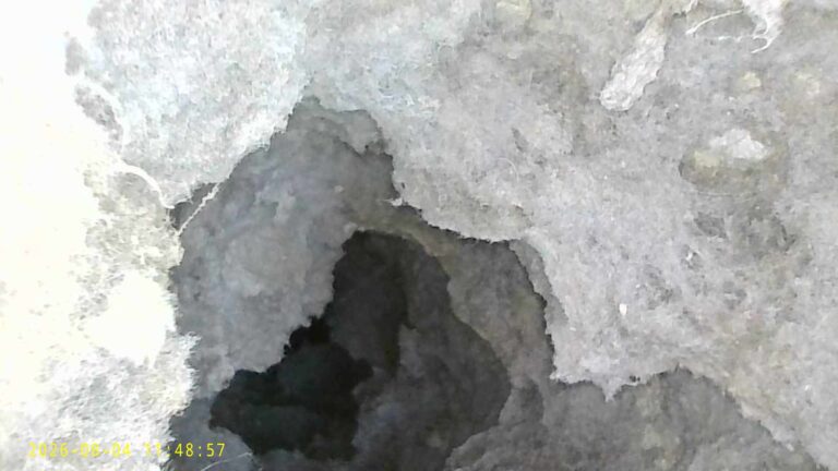 Camera view inside a dryer vent showing lint buildup