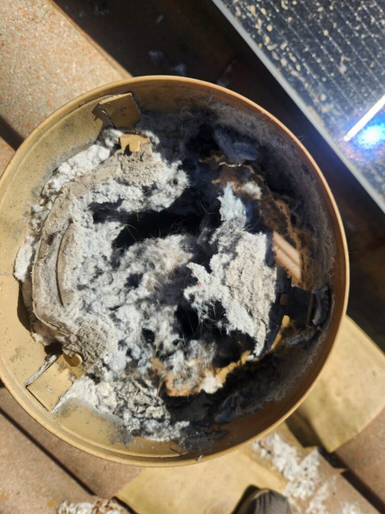 Thick lint buildup blocking a round dryer roof vent opening on a tile roof.